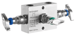 002_ASH_V02_Series_Direct_and_Remote_Mount_3-Valve_Manifold.PNG